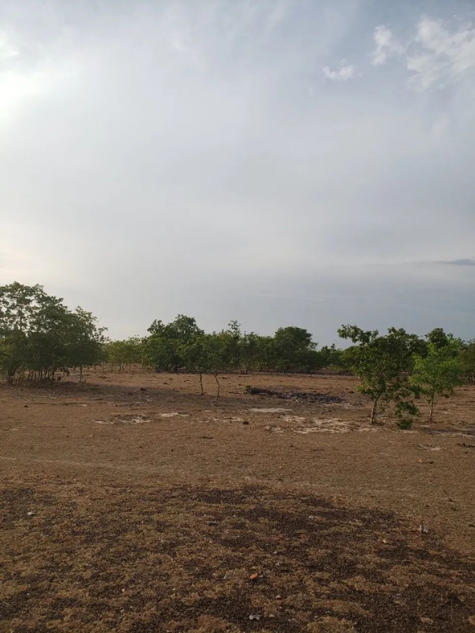 oferta terreno para sitio - Foto 4