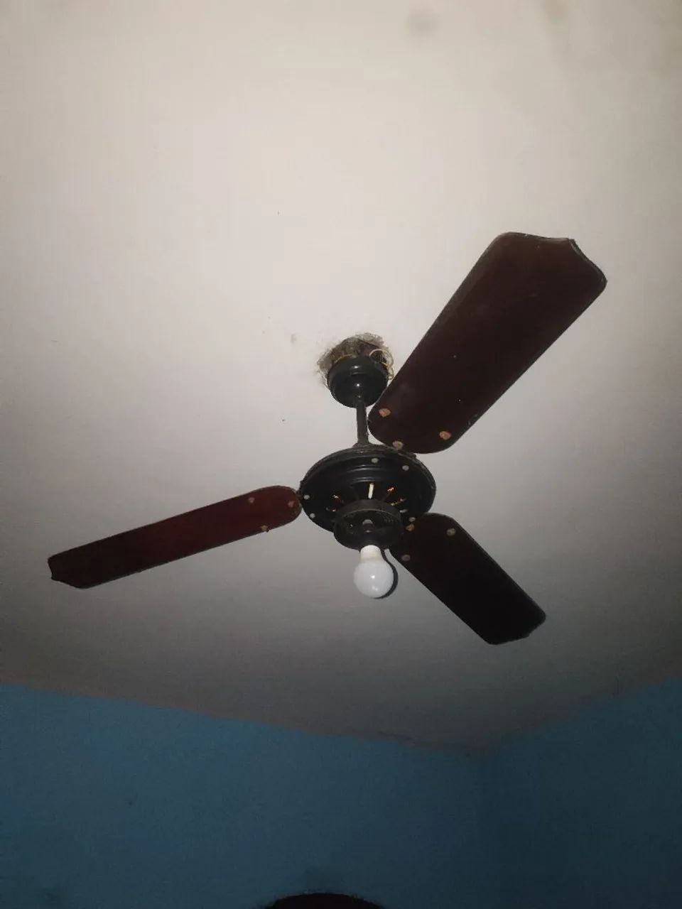 Ventiladores de teto casa - Foto 3