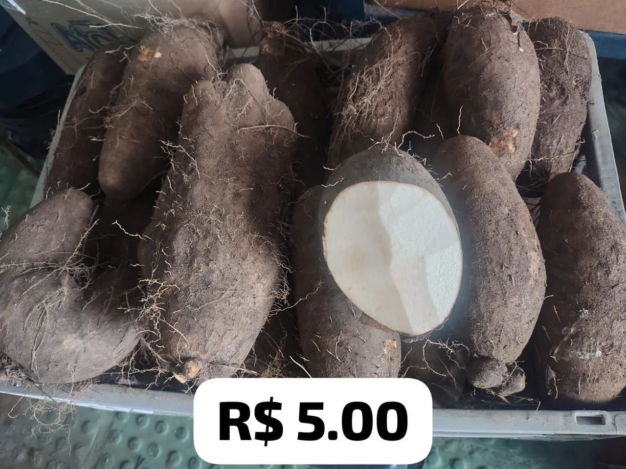 CARÁ DA PARAÍBA 