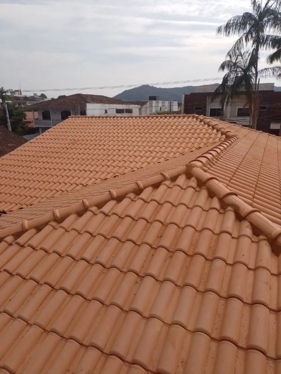 Mutenção e Construção de Telhados - Foto 4