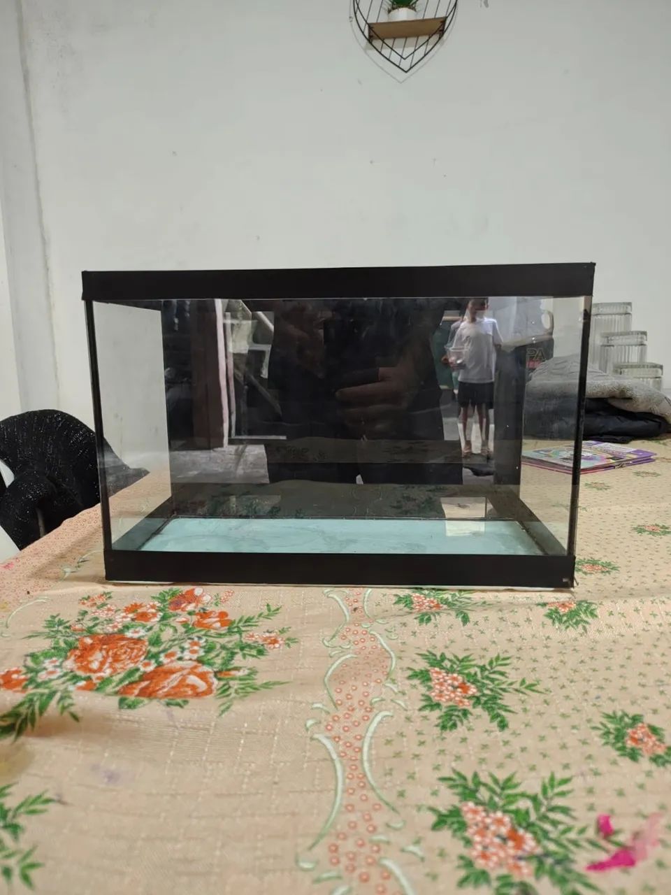 Aquário de 50 litros com itens - Foto 5
