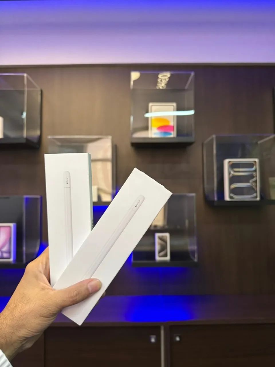 APPLE PENCIL USBC NOVA LACRADA COM 1 ANO DE GARANTIA APPLE