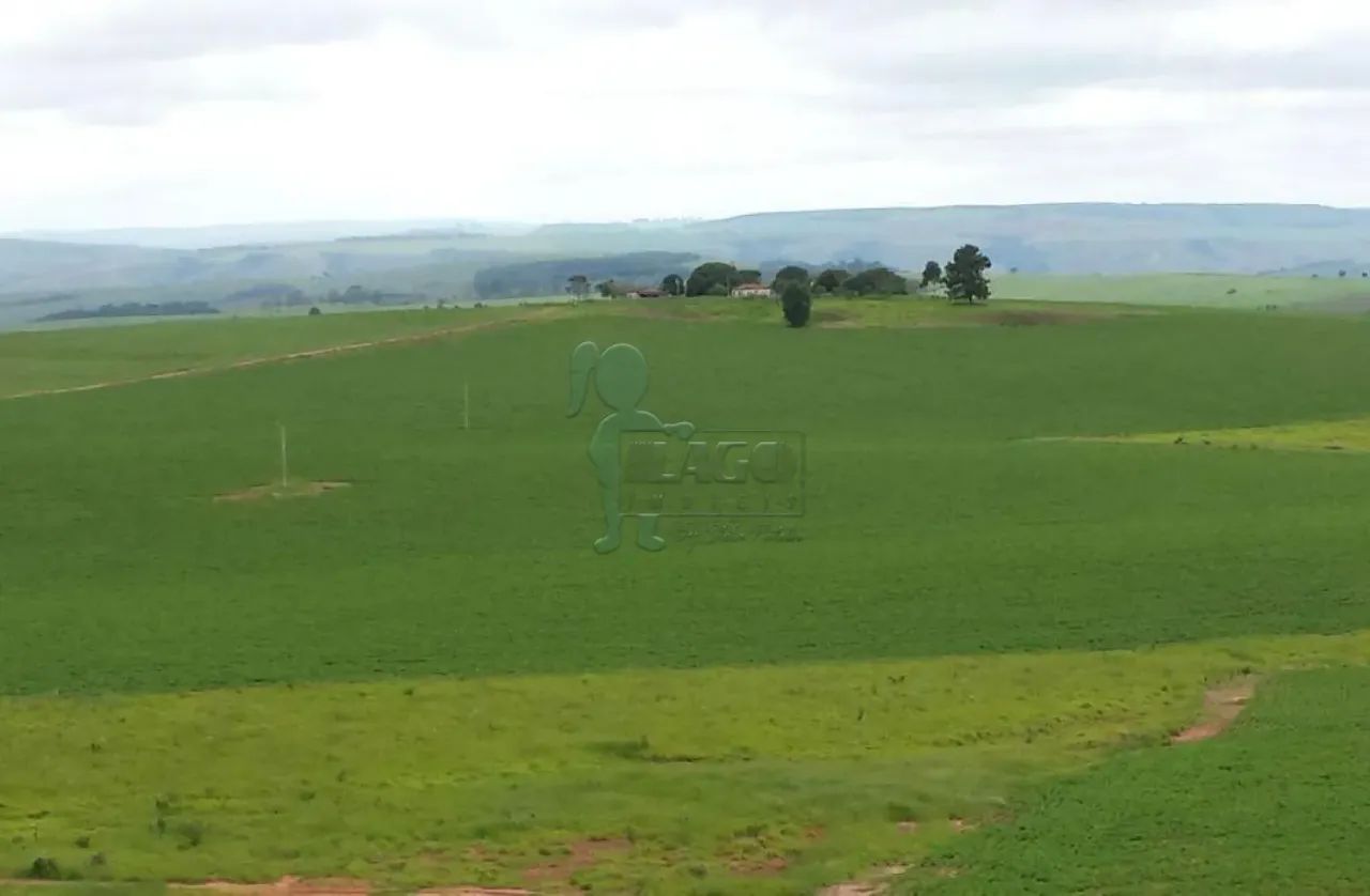Rural/Fazenda - Misto - Dupla Aptidão - Triangulo Mineiro - Foto 2