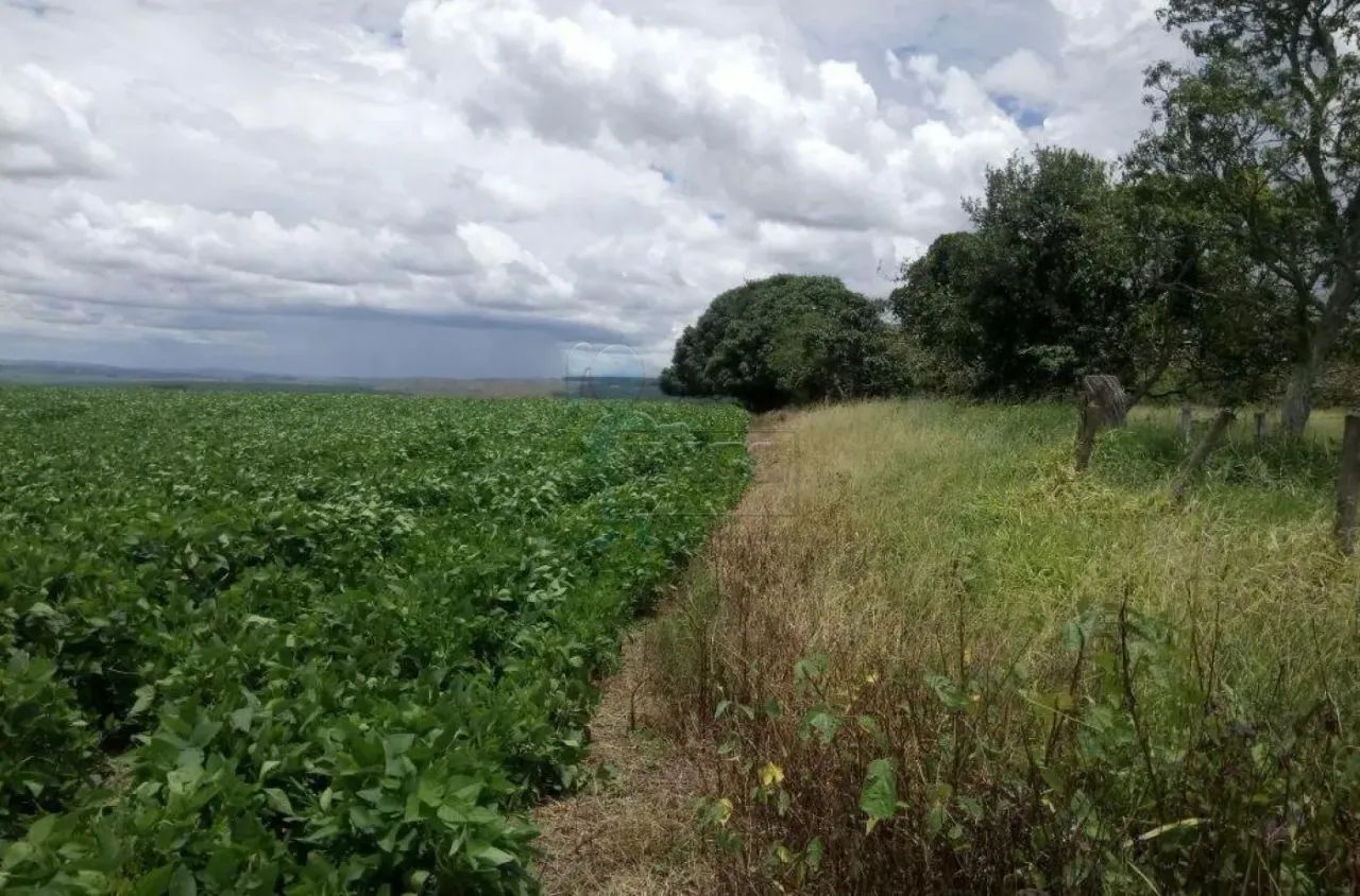Rural/Fazenda - Misto - Dupla Aptidão - Triangulo Mineiro - Foto 5