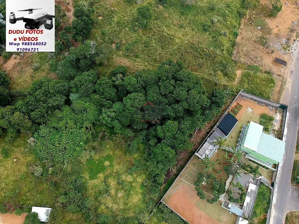 Lote / Terreno - Ipiranga