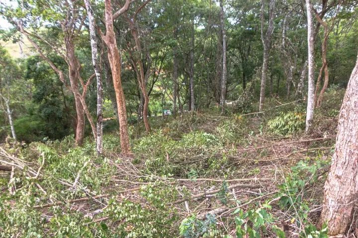 Terreno 625m2 no Costinha - Foto 3