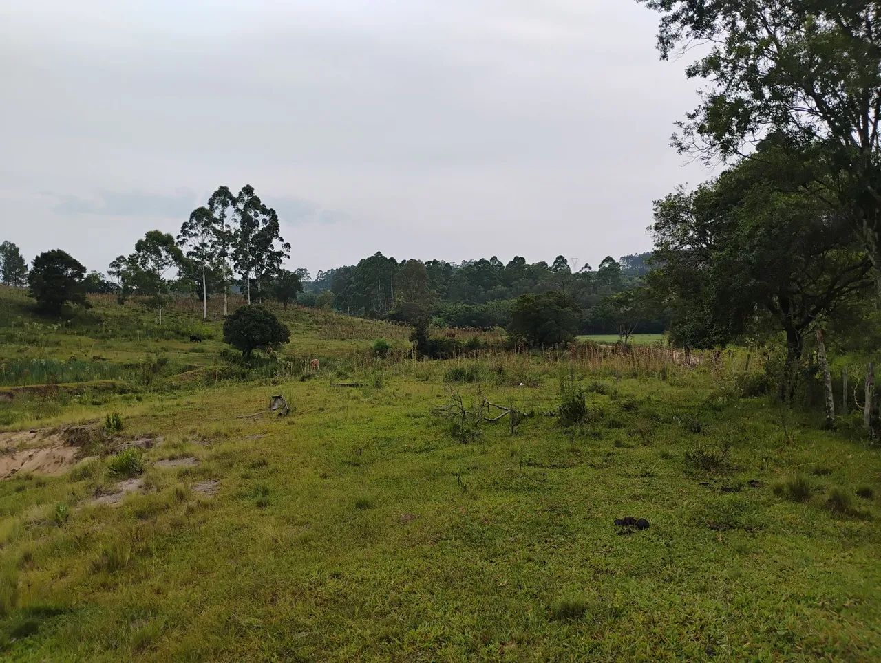 Sitio - Foto 2
