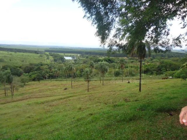 Fazenda Bebedouro de Cima - Foto 3