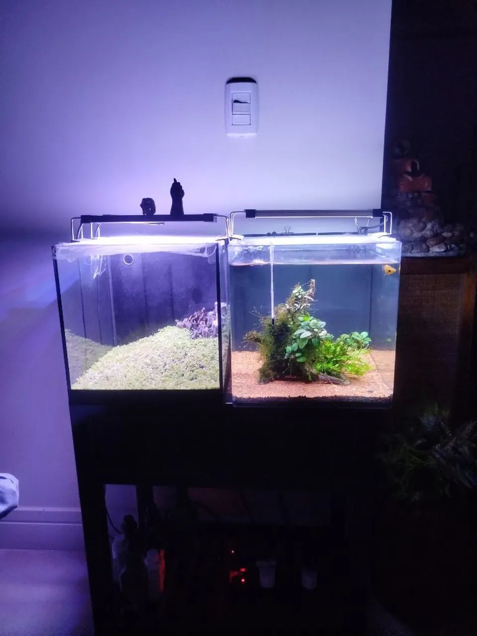 Aquários completos 