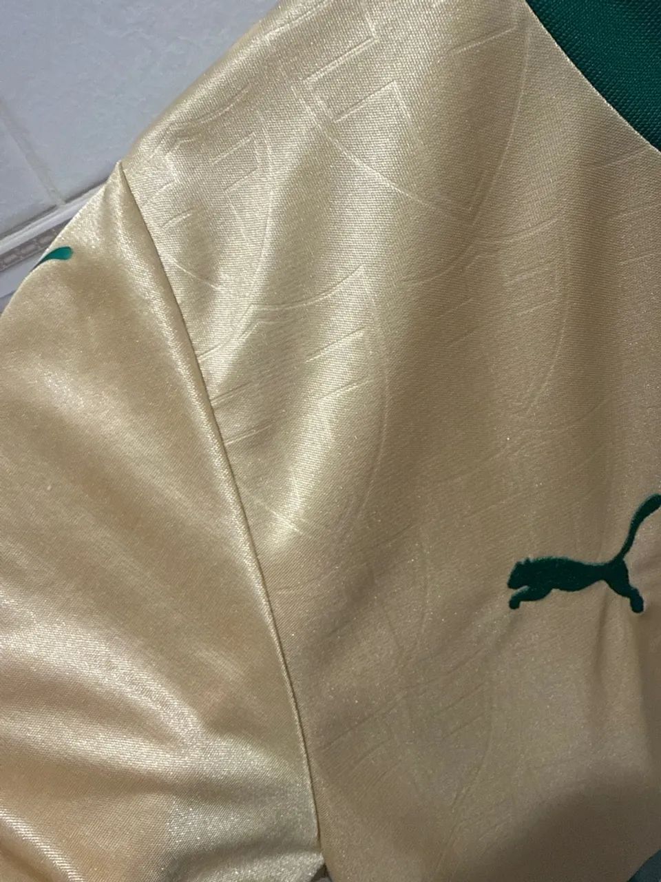 Camisa Palmeiras 3 - 2024-25  - Foto 4