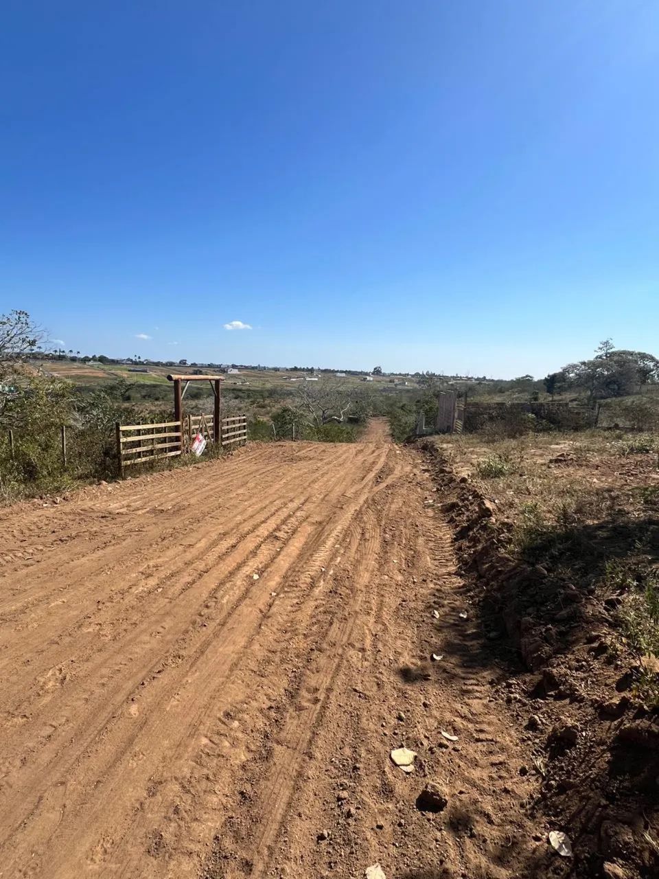 Lote de 450m2 todo plano 
