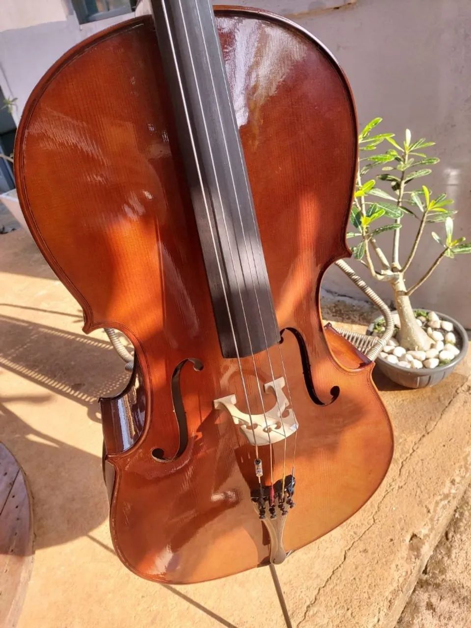 Violoncelo Eagle CE200