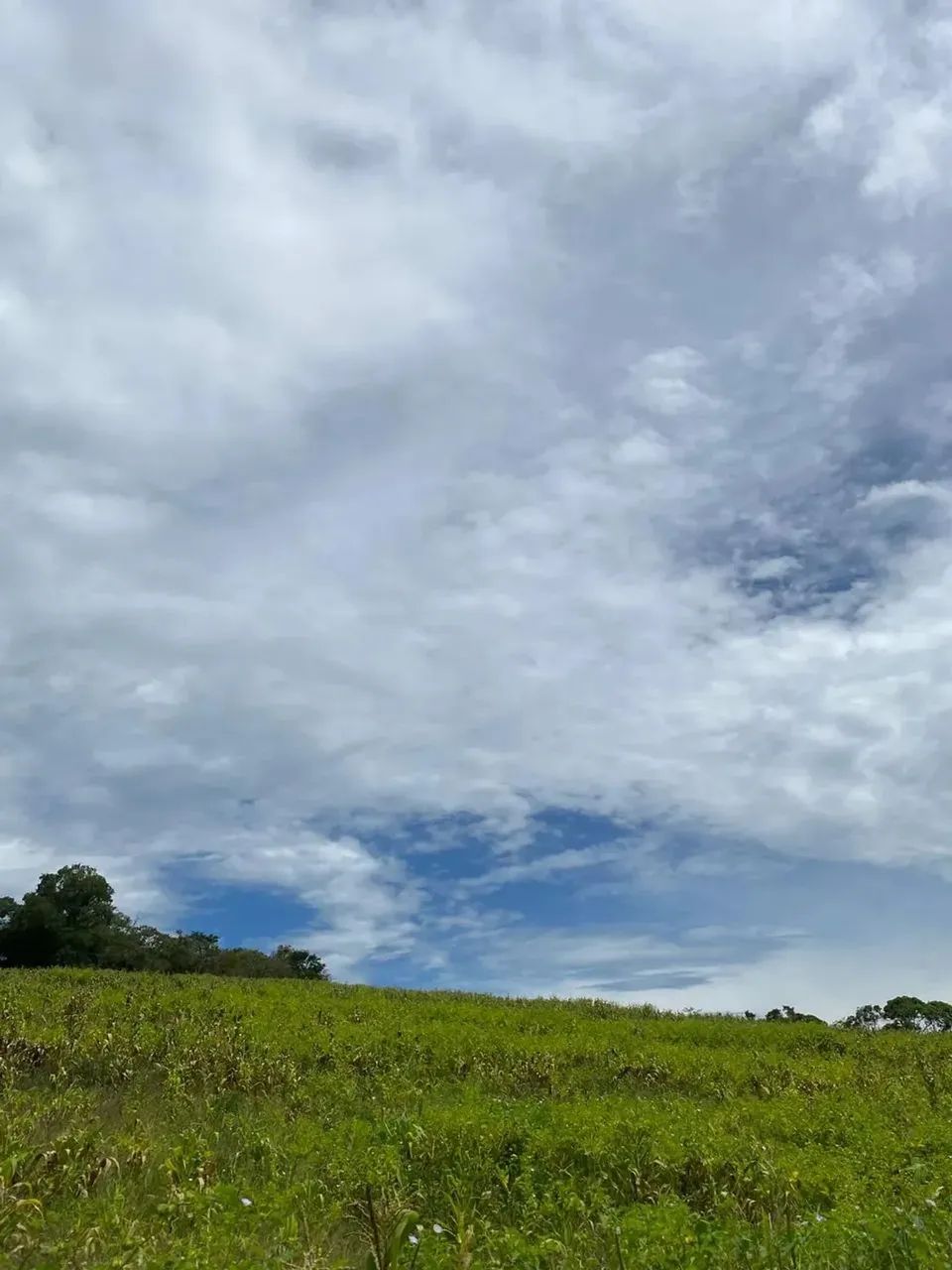 Imóvel para venda com 1000 metros quadrados em Rio de Una - Ibiúna - SP - Foto 6