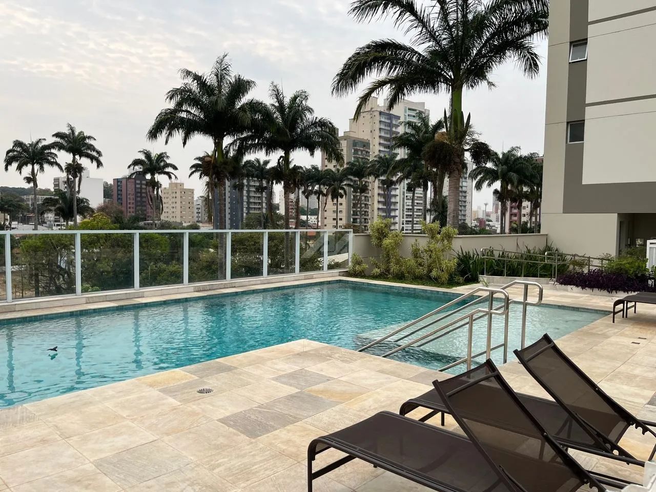 apartamento - Vila Itapura - Campinas - Foto 3