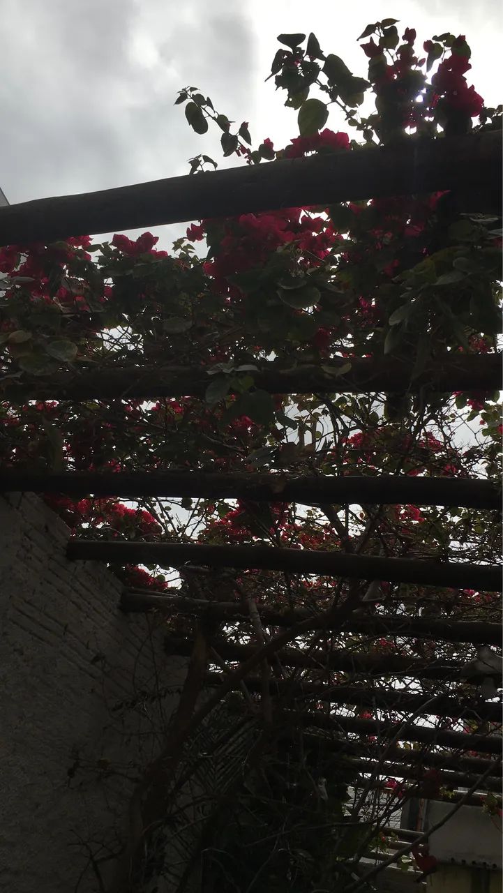 Terreno para chácara