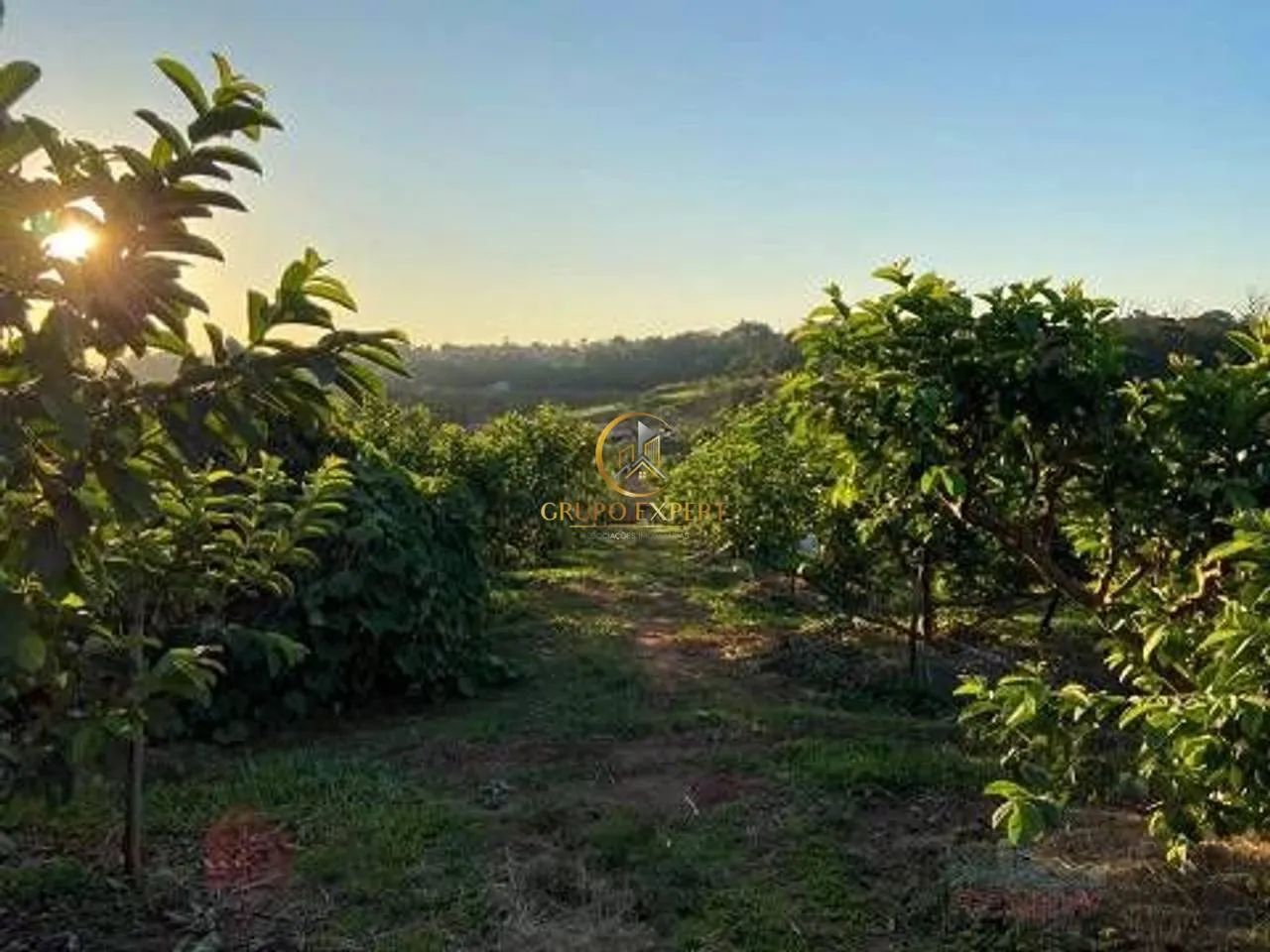 Chácara à venda com 26.455 m², 2 CASAS, em Valinhos/SP. - Foto 3