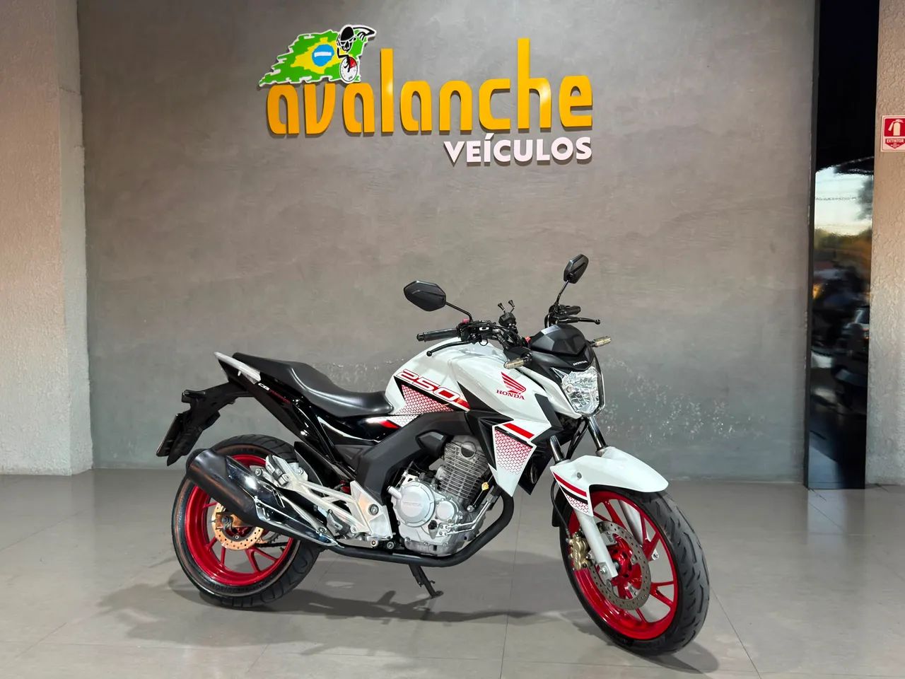 Twister 250 2022