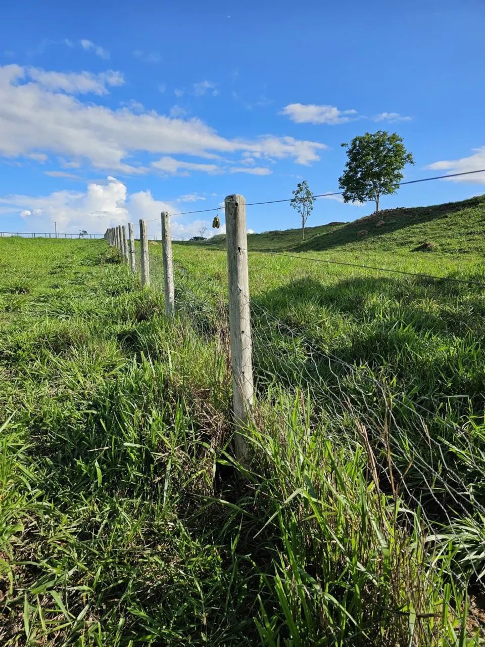 Chácara em Petrolina de Goiás  - Foto 4
