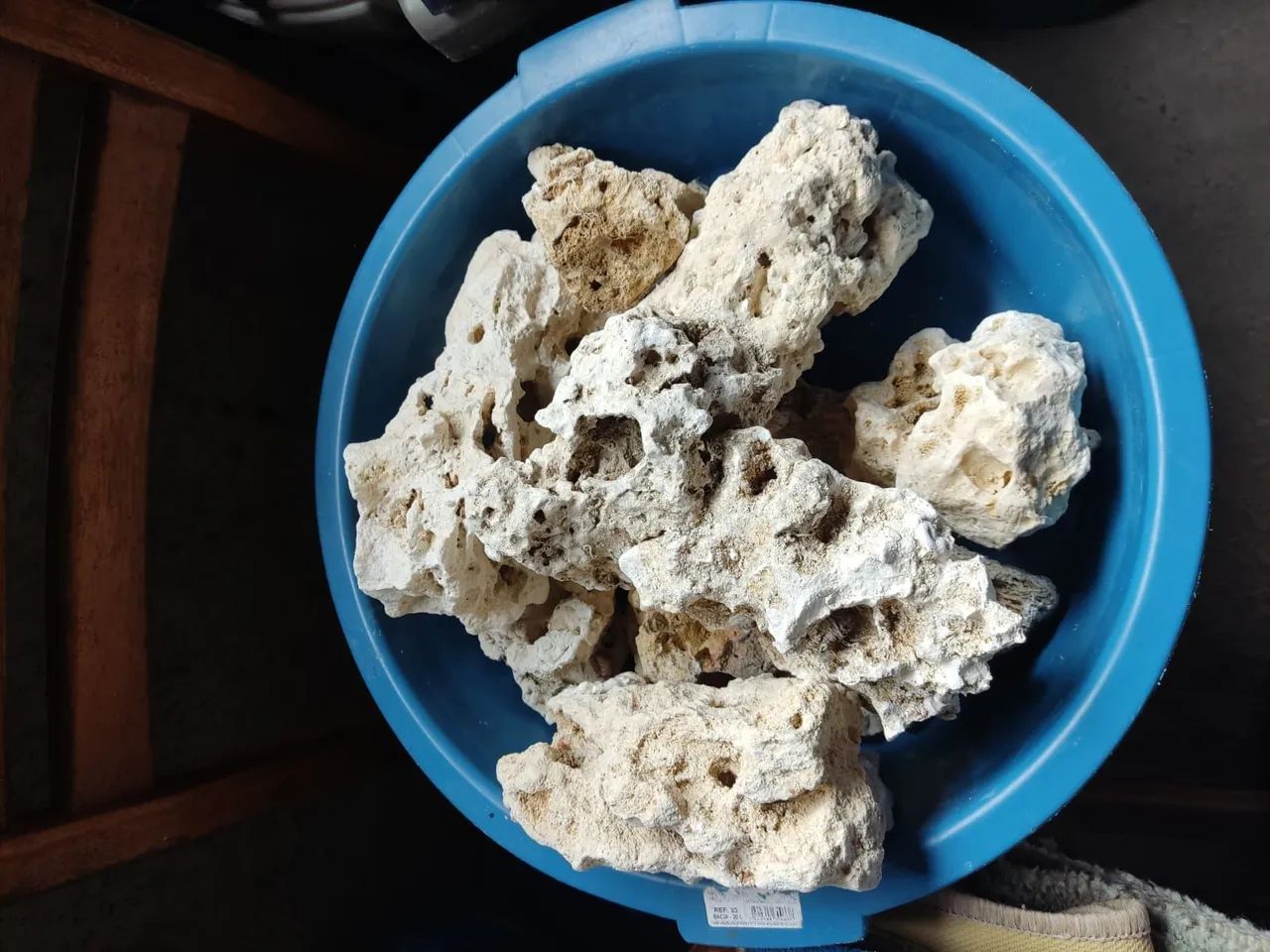 Aquário marinho. - Foto 5