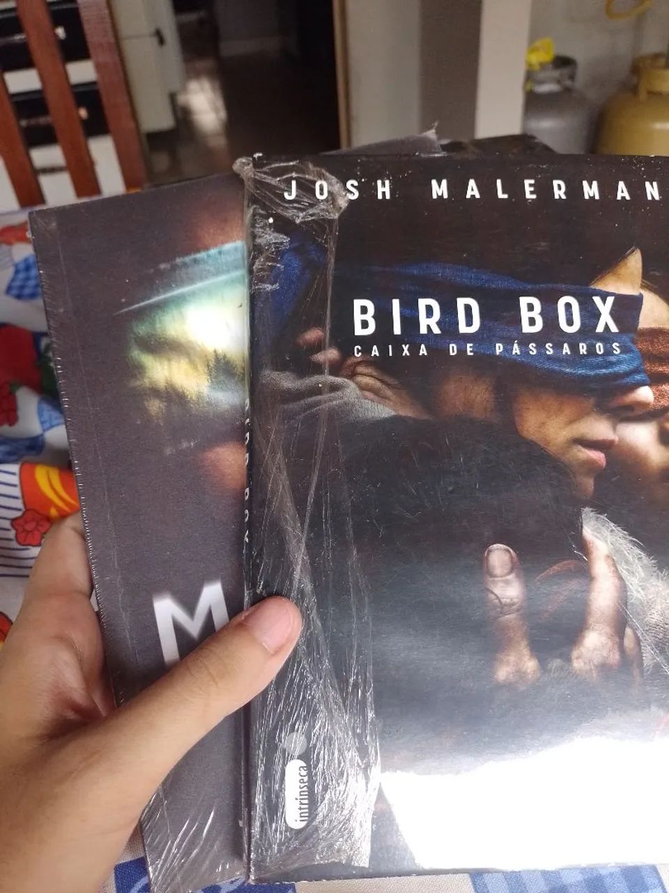Livro Duologia Bird Box