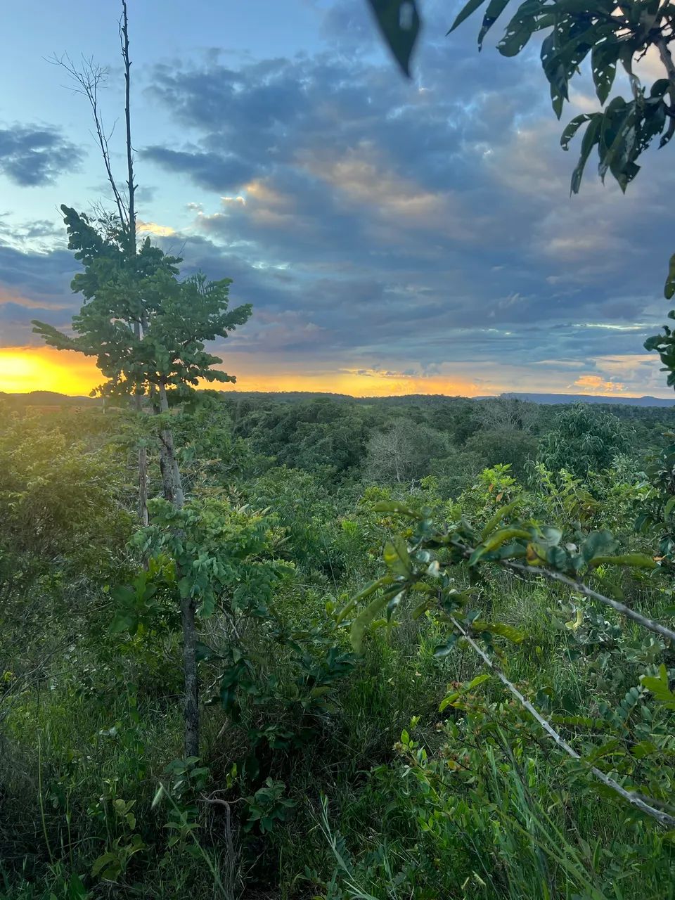 Foto - Pirenópolis - 