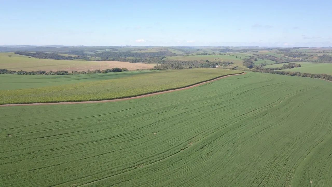 Fazenda  - Foto 2