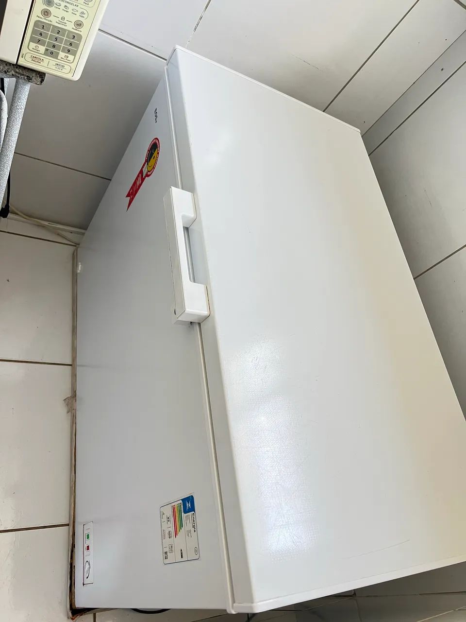 FREEZER EOS EcoGelo EFH355X - Foto 2