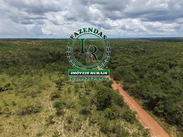 Fazenda Dupla Aptidão Bruta de 40 Alqueires  Tocantins - Foto 4
