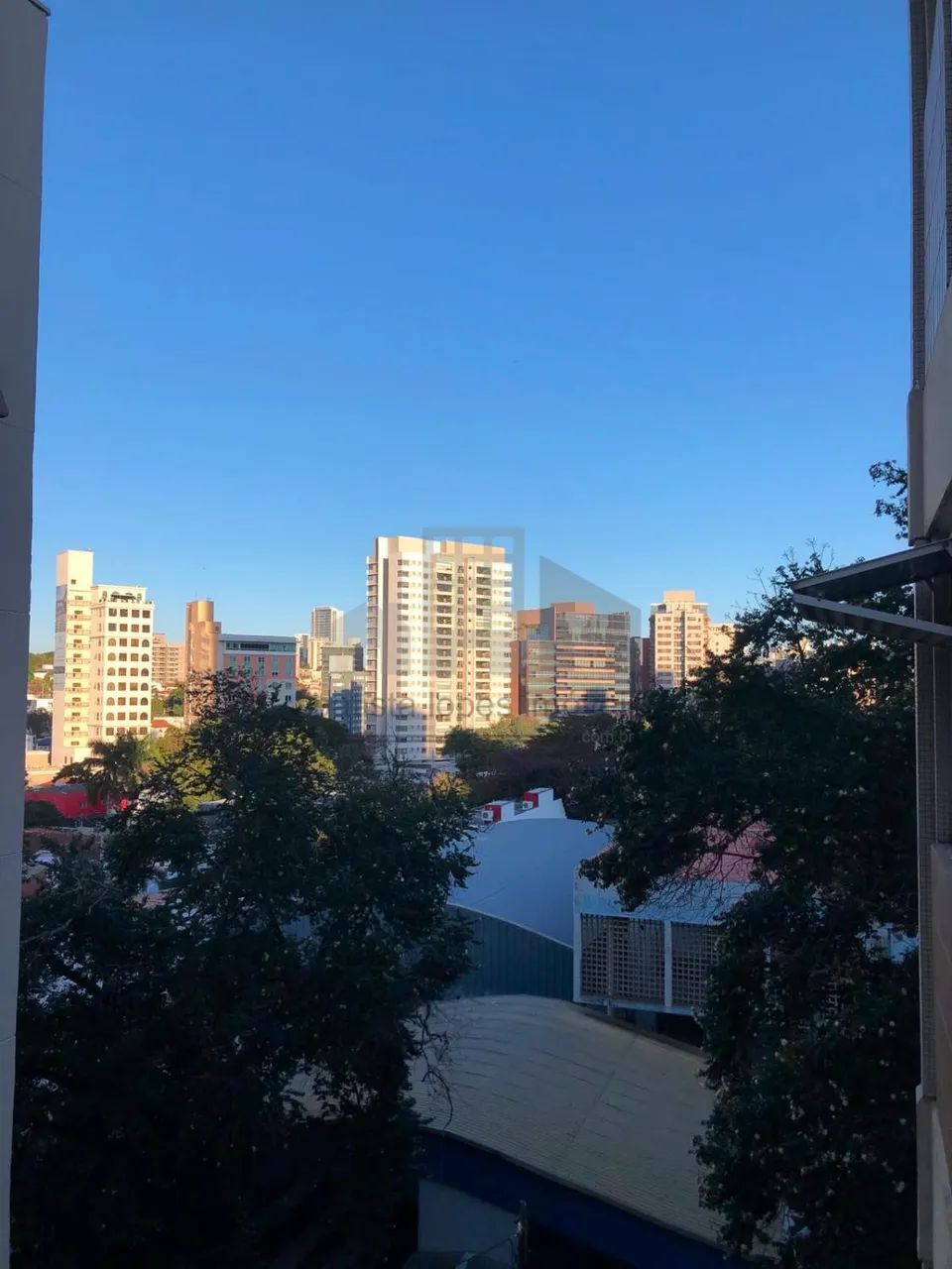 apartamento - Cambuí - Campinas - Foto 4