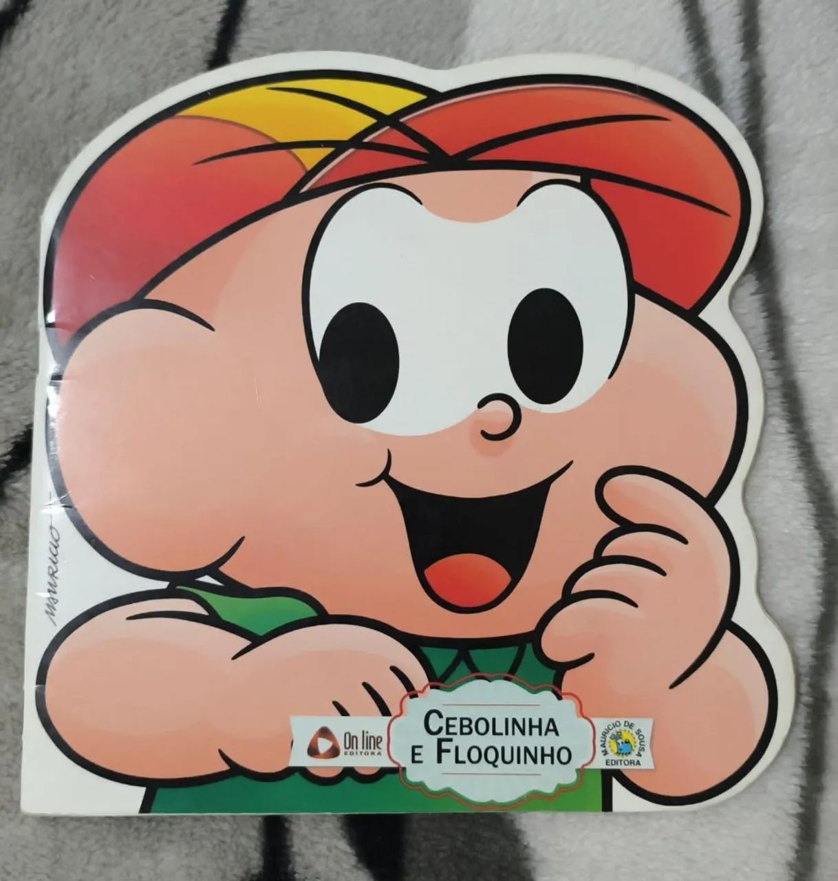 Livro Cebolinha e floquinho