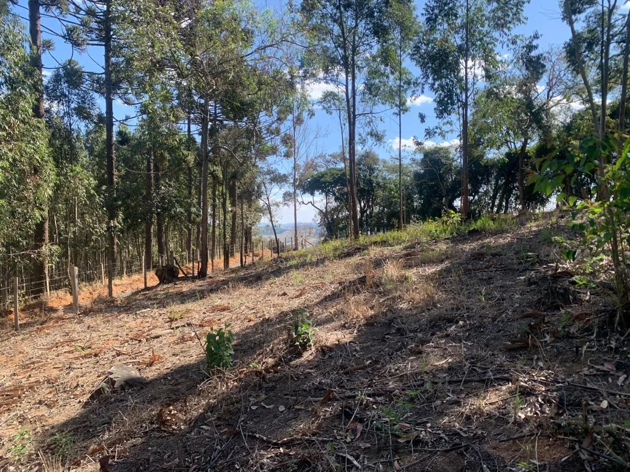 Terreno para Venda em Toledo - Foto 5