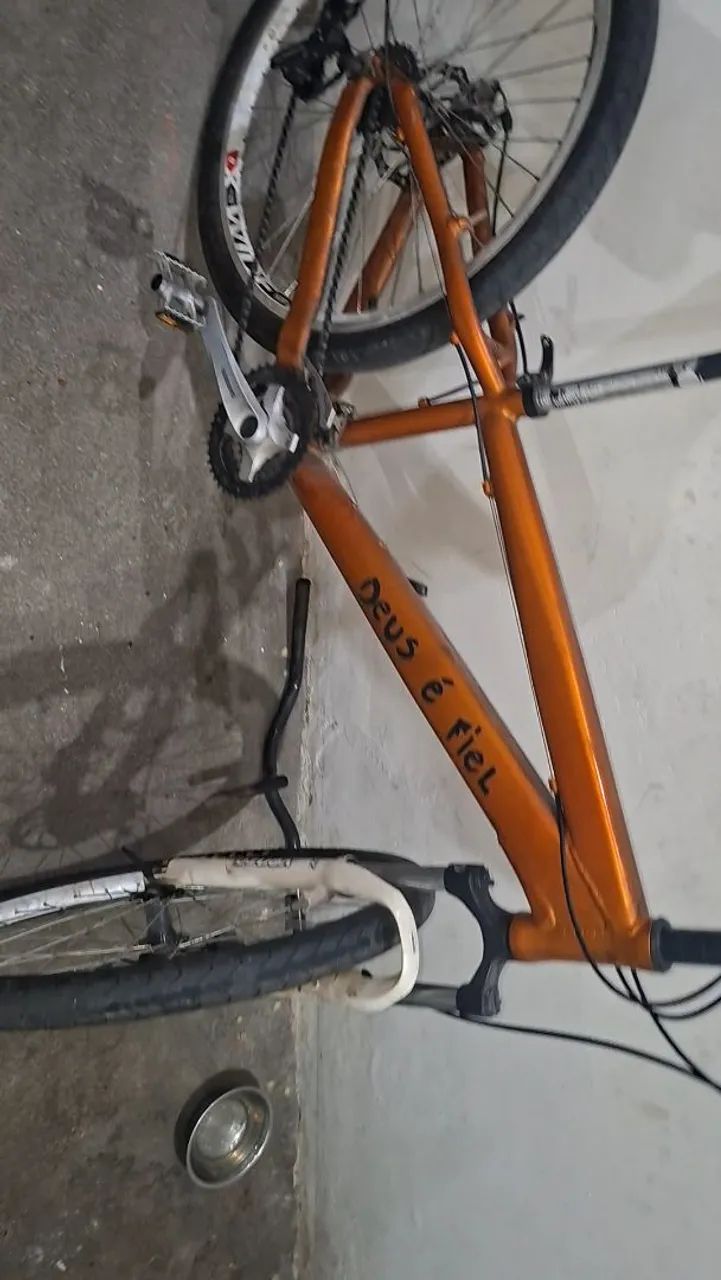 Bicicleta 