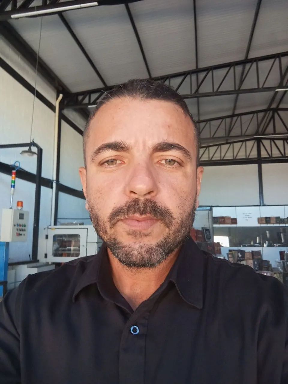 Faxina e passeio com cães 