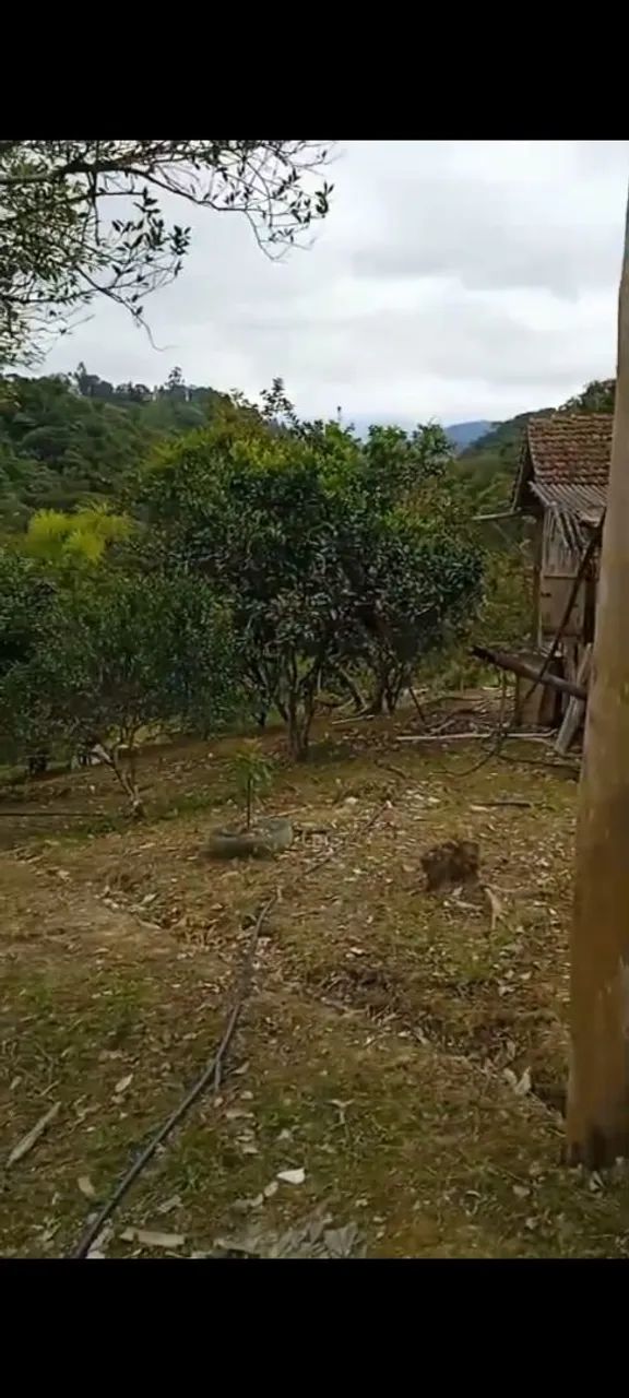 Vendo sitio em Ascurra  - Foto 3