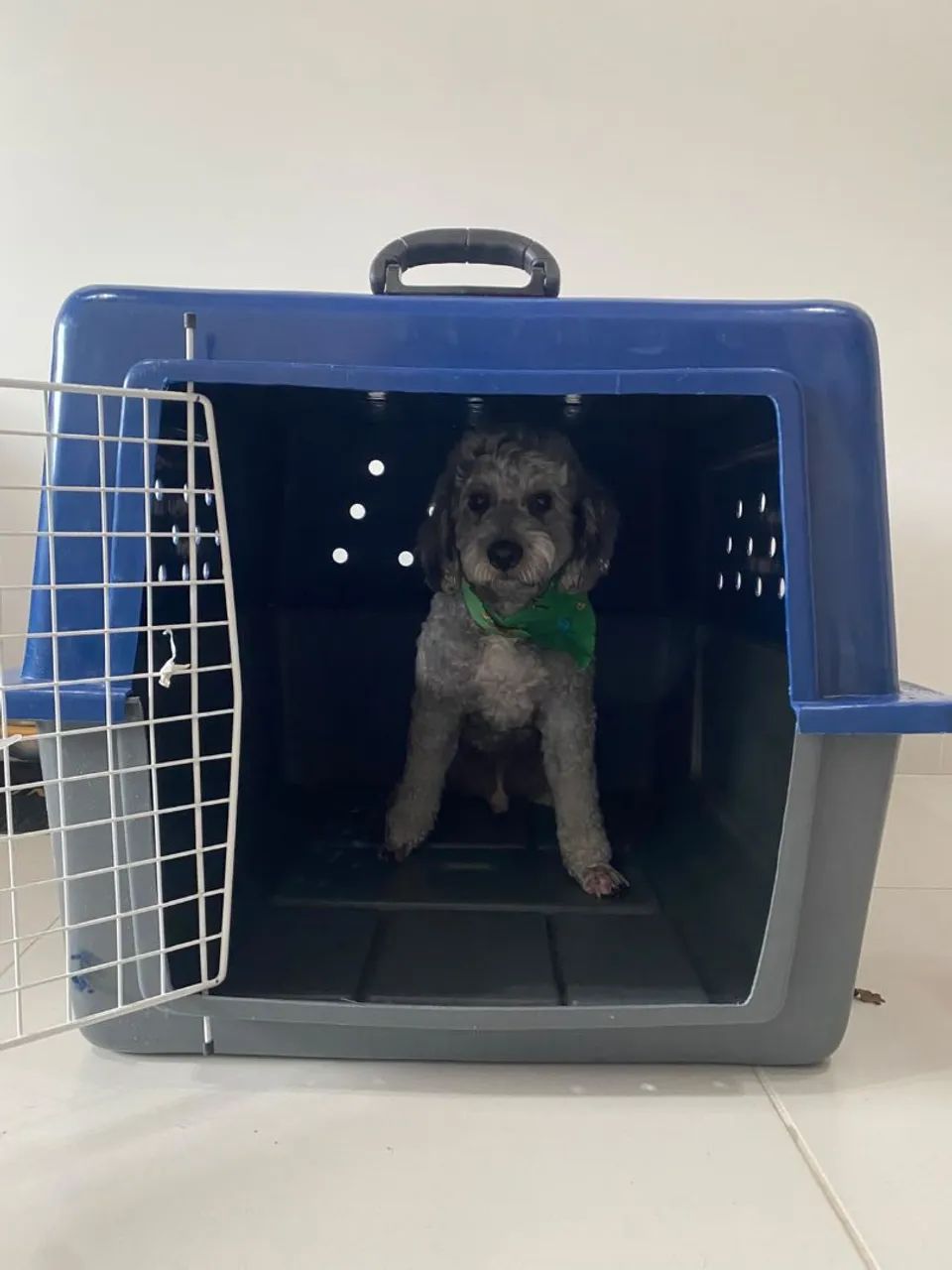 Caixa de transporte de Pet - Foto 4