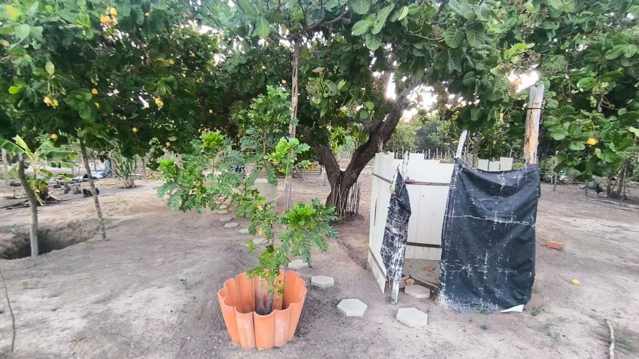 Vendo sitio  - Foto 2