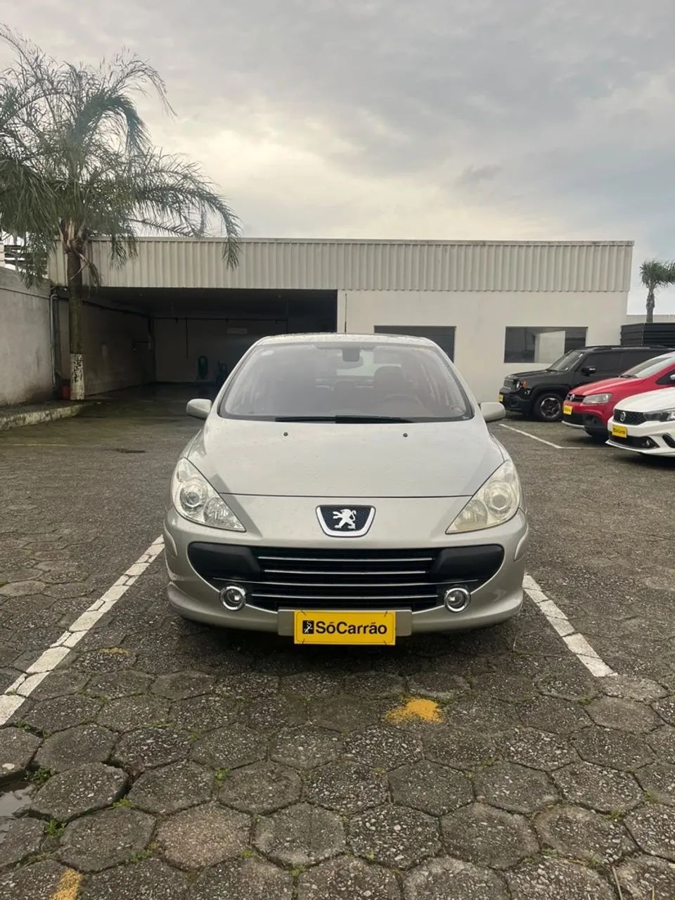 Peugeot 307 307 Sed.Feline/Griff 2.0/2.0 Flex 4p Aut 2009