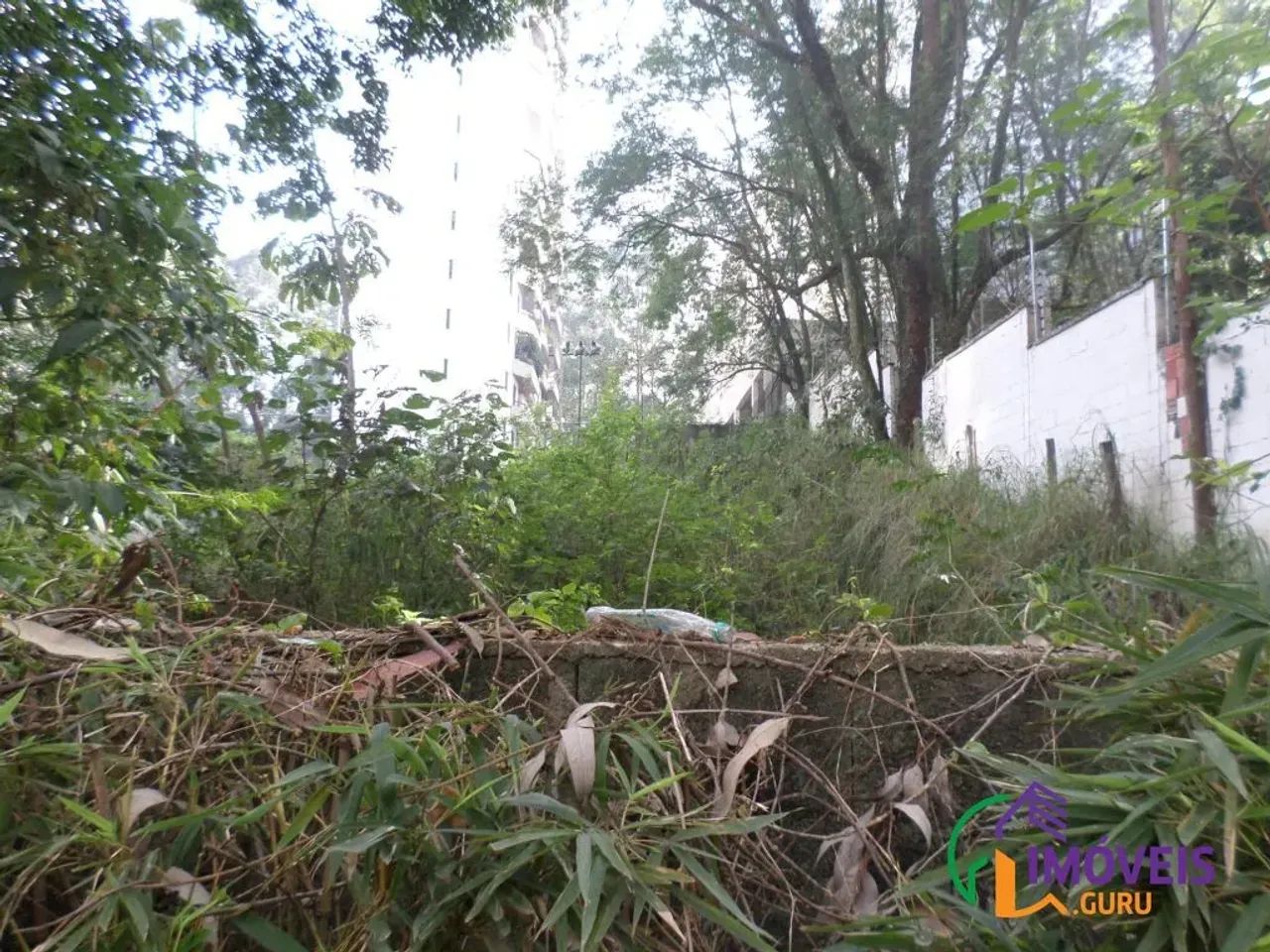 AREA - MORUMBI - SP - Foto 5