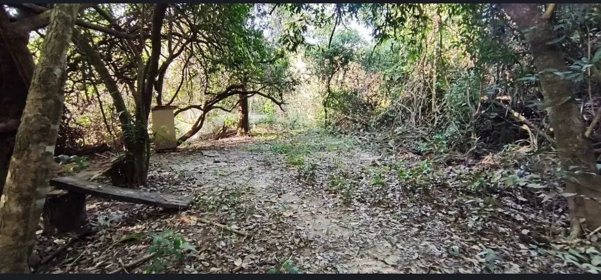 CHÁCARA EM BELA VISTA DE GOIÁS  - Foto 5