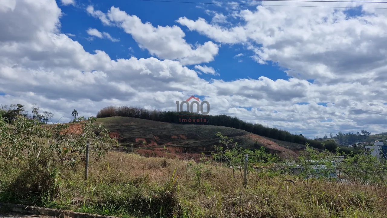 Lote / Terreno - Grama - Foto 5