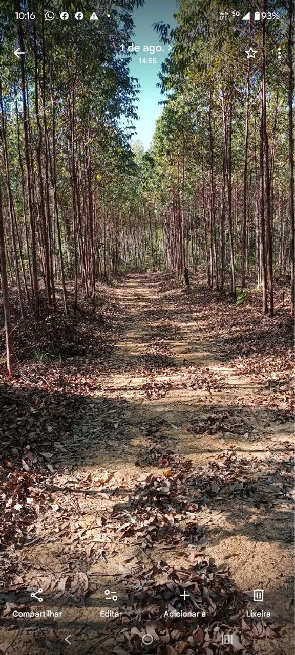 Vendo ou troco sitio - Foto 5