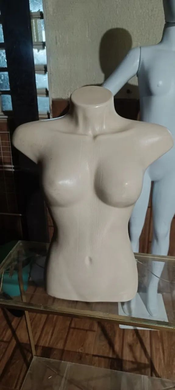 Oportunidade Imperdível Manequim Feminino  - Foto 3