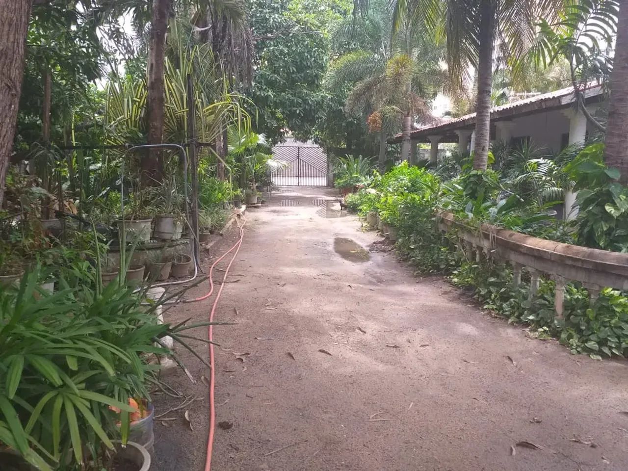 Terreno na Parangaba - Foto 4