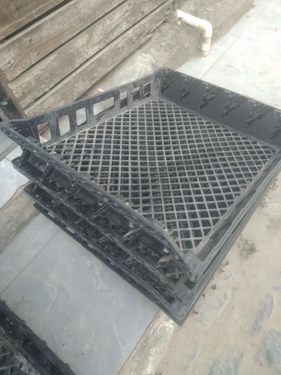 Galeias muito forte. - Foto 4