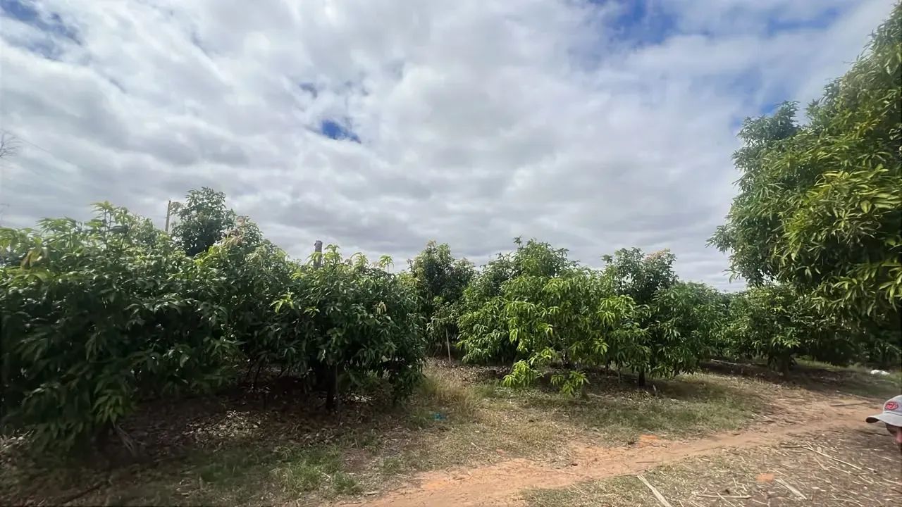 LOTE RURAL À VENDA! - Foto 3