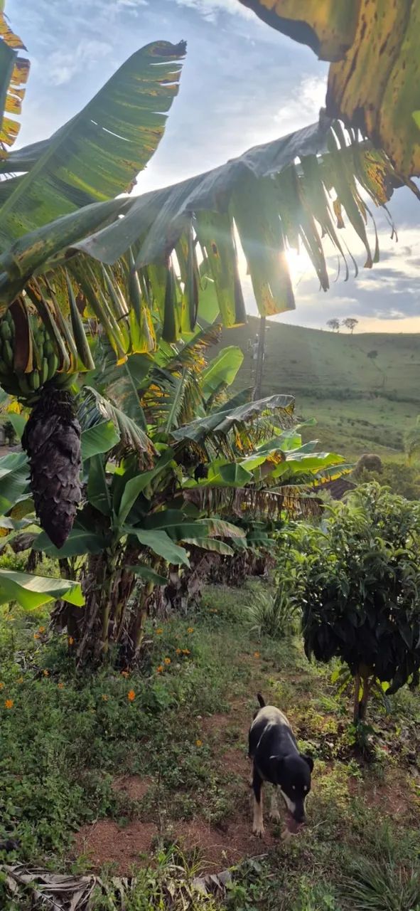 Terreno em Vargem Alegre de 3000 m2