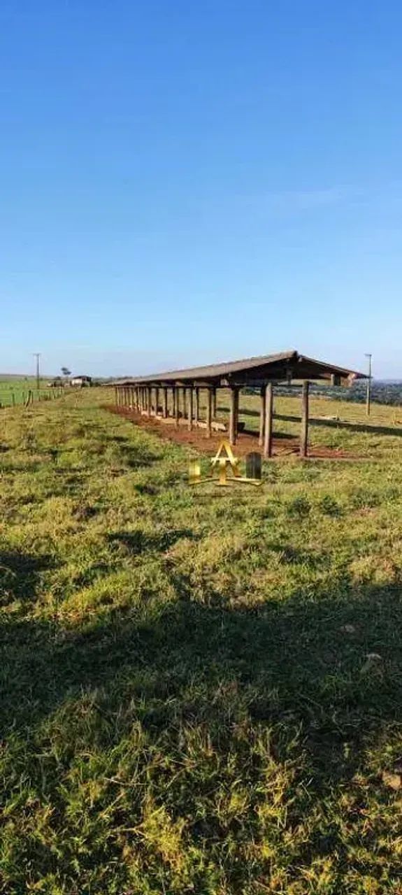 Sítio à Venda - Zona Rural - Tatuí/SP - Foto 4
