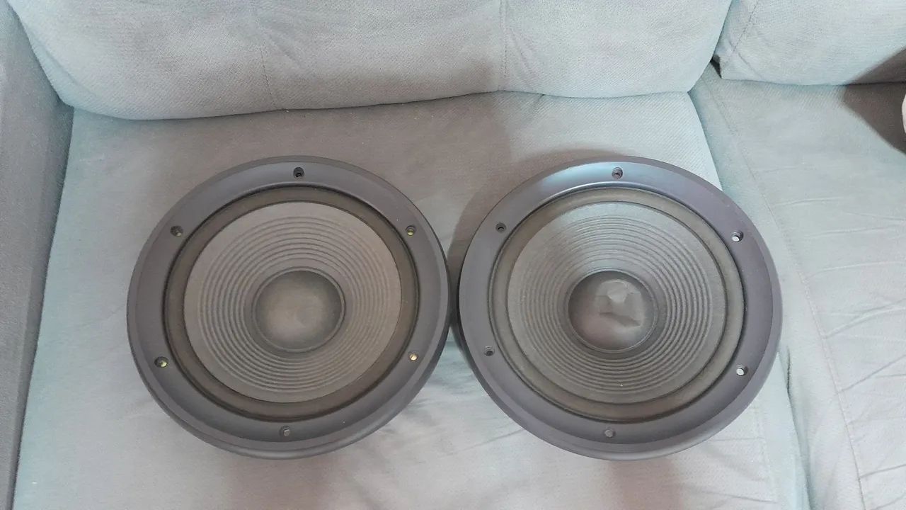 Par de alto-falantes Technics 10 polegadas
