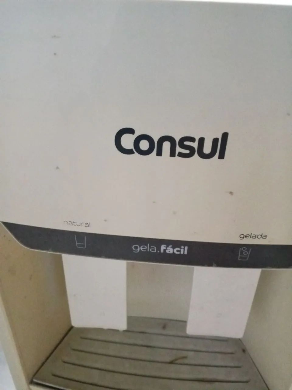 Gelagua consul  - Foto 4