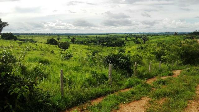 Fazenda 1700 alqueires na beira do Rio Araguaia-TO - Foto 3